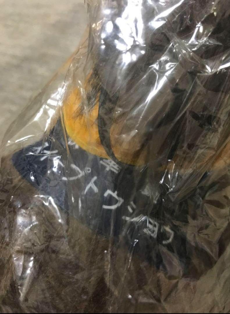 Amazon.co.jp: 競馬 競走馬ぬいぐるみ スイープトウショウ 秋華賞 