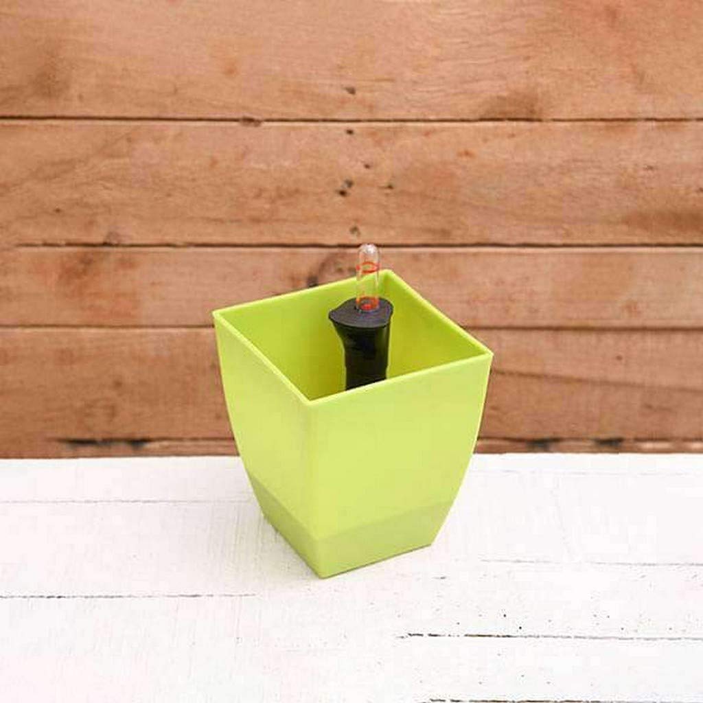 Creative Farmer Flower Pot Chatura 12 - Green, with Self Watering Kit (Pack of 5) (GNA-5-[5NOS]-[SW] CHATHURA12|Green|172E)
