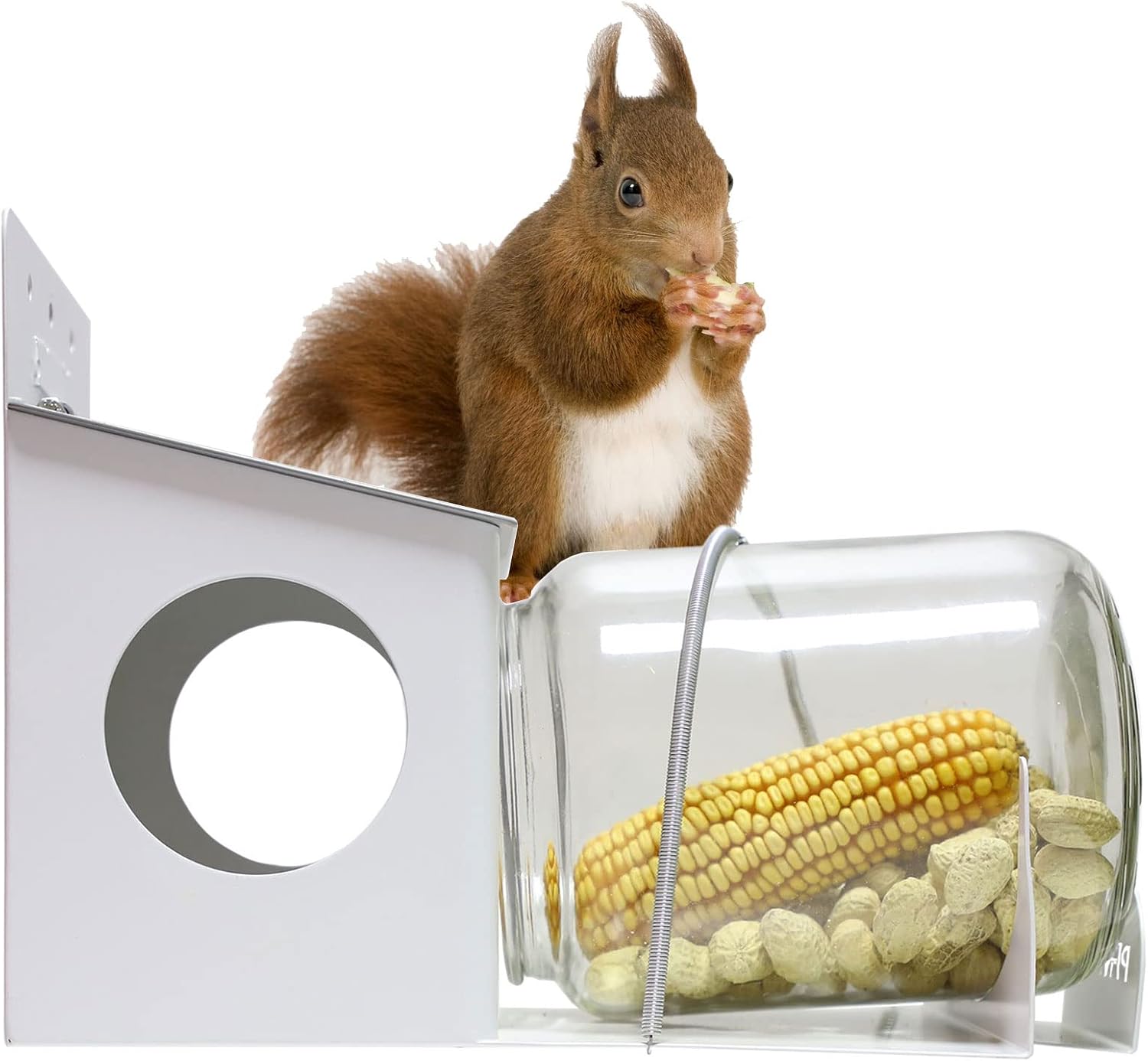 Squirrel Feeder, Backyard Gallon Jar Squirrel Feeder for Outside,Enjoying Squirrels Eating Corn, Peanuts and Seeds.