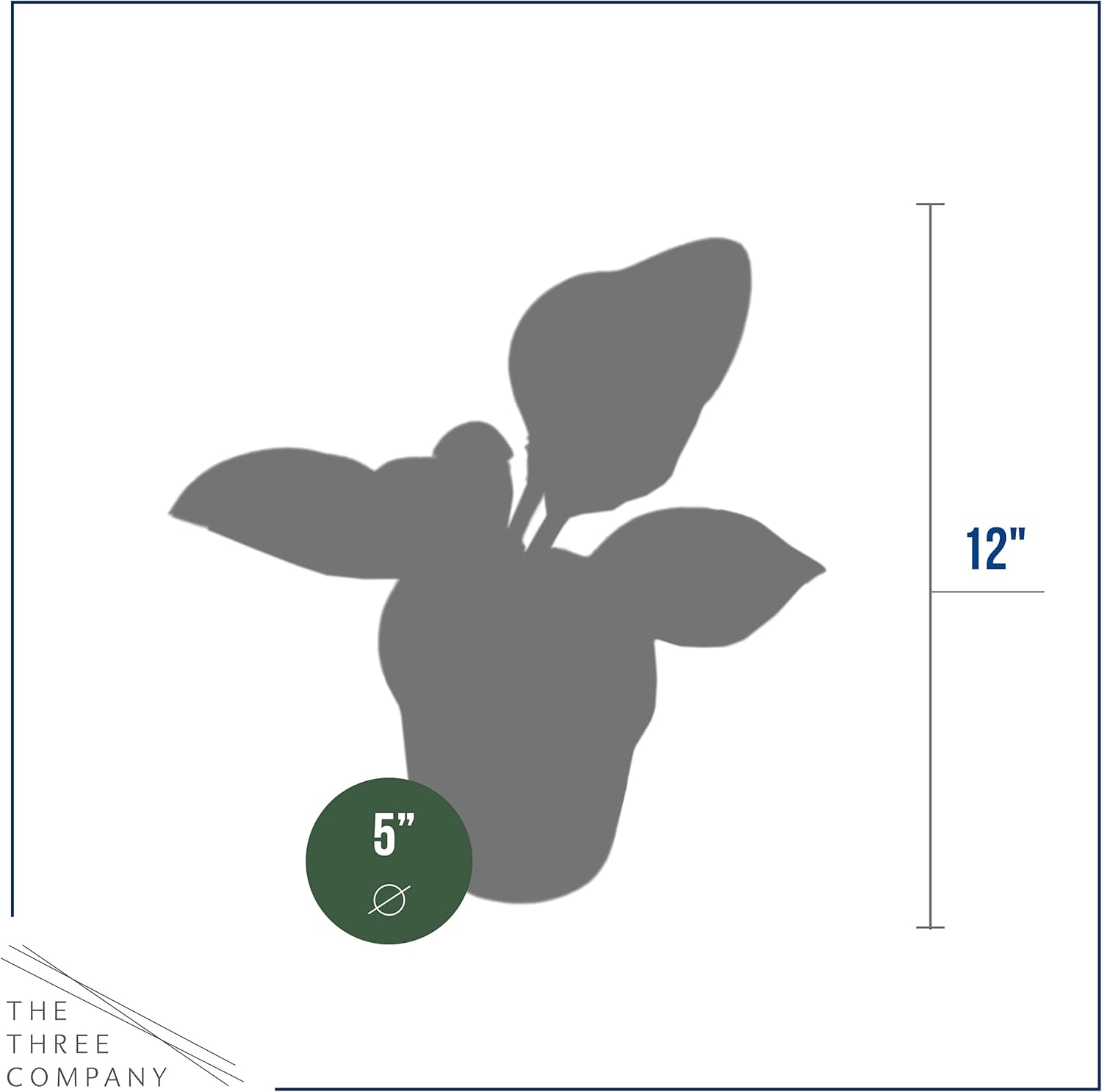 Live Perennial Hosta - Assorted Varieties (3 Plants Per Pack) Beautiful Accent Plant, 10" Tall by 4" Wide in 1 Qt Pot
