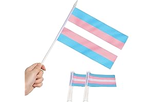 Anley 12-Pack Transgender Mini Pride Flags