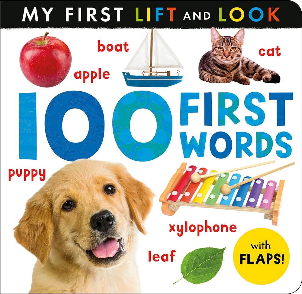 100 First Words (My First Lift and Look)