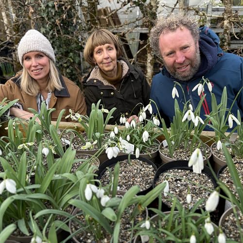 Snowdrops at Altamont & Seed Sowing