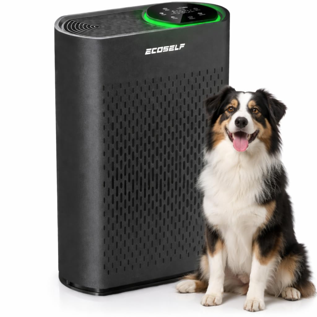 Large Room Air Purifier HAP-602