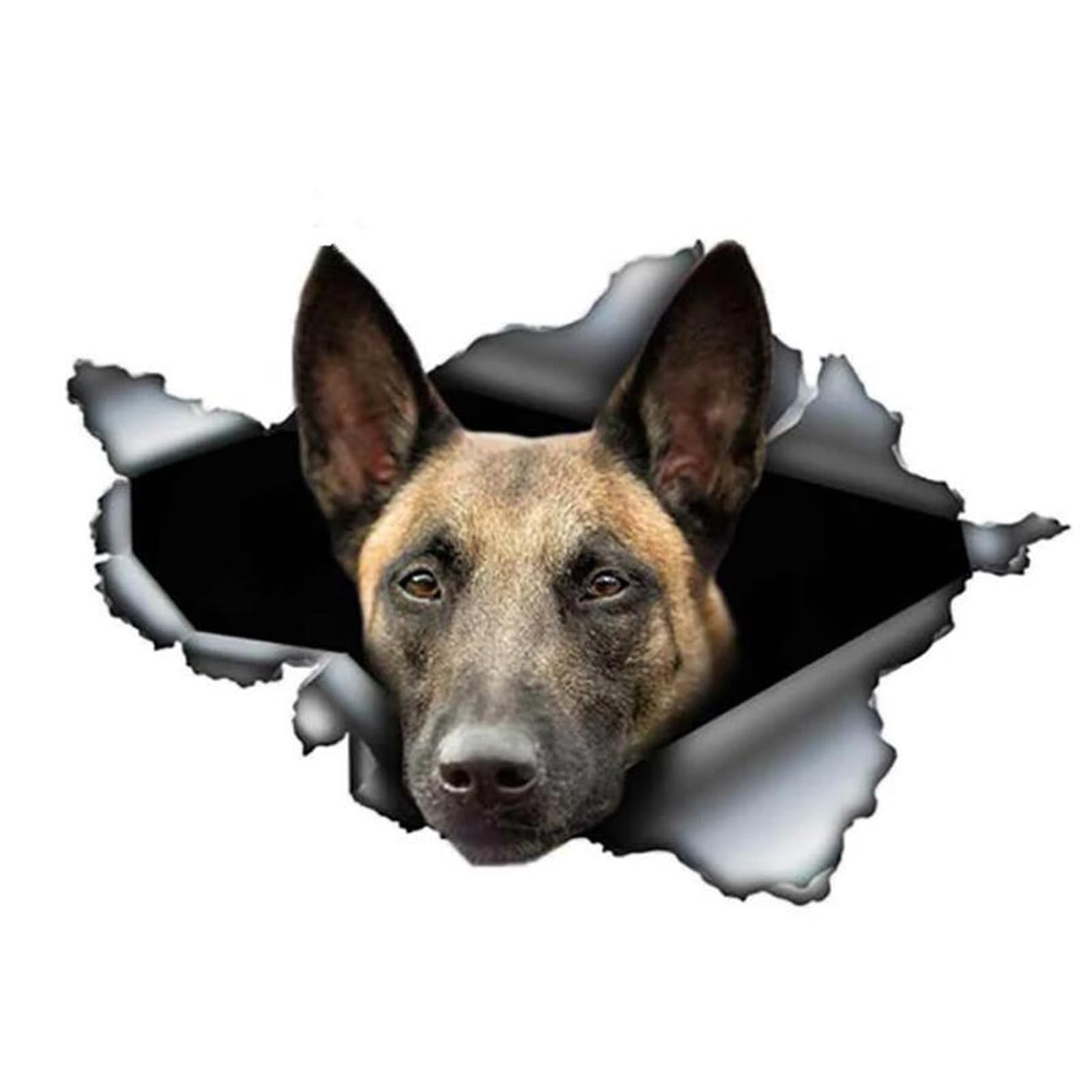 Autoaufkleber Belgische Malinois Autoaufkleber 22cm(8.7 Inch) 3D Zerrissen Aufkleber Wasserdichte Belgische Schäferhund Haustier Hund Aufkleber Reflektierende Aufkleber