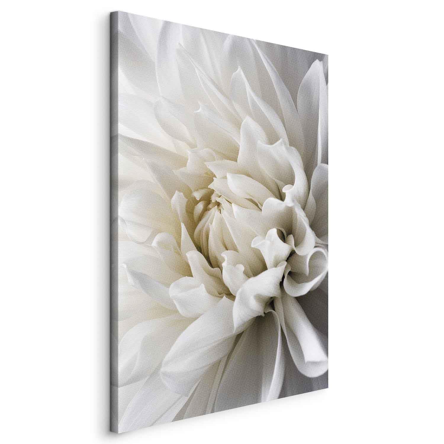 Cuadros B&D XXL - Quadro Fiori 80x120 cm 1 Pezzo - Stampa su Tela Strutturata XXL Grande - Quadri Moderni Soggiorno Grandi - Stampe da Parete Murale Arte Moderno Pittura - b-B-0112-b-a