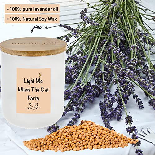 Lihome Cat Lover Gifts For Women - Cat Gifts For Cat Lovers, Odor Eliminating Candle, Candles For Home Scented, Handmade Ceramic Jar 11.5Oz Natural Soy Wax(Lavender) #TOP3