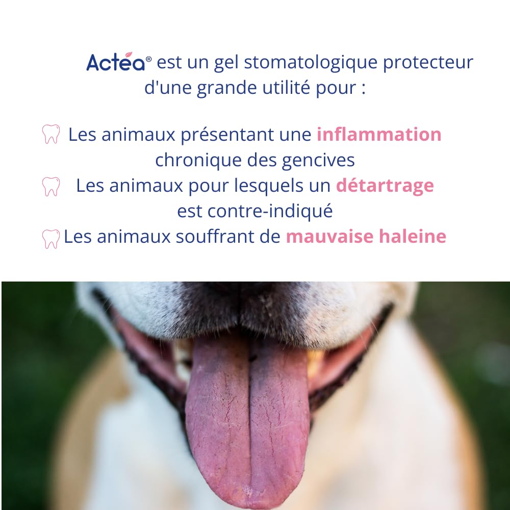 Anidev Actéa Buccal - Gel apaisant gencives Chien et Chat - Hygiène bucco Dentaire - Limite Plaque tartre et Mauvaise haleine - Effet apaisant réparateur et Protecteur 15 ML