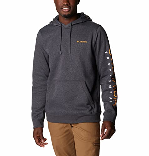 Image of Columbia Men CSC Basic Logo II Hoodie