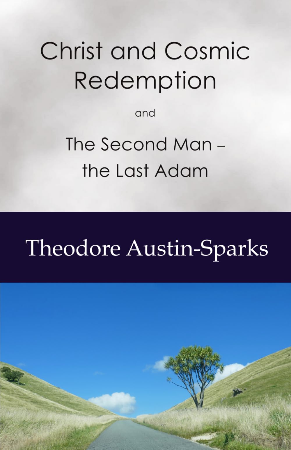 Christ and Cosmic Redemption: and The Second Man - the Last Adam