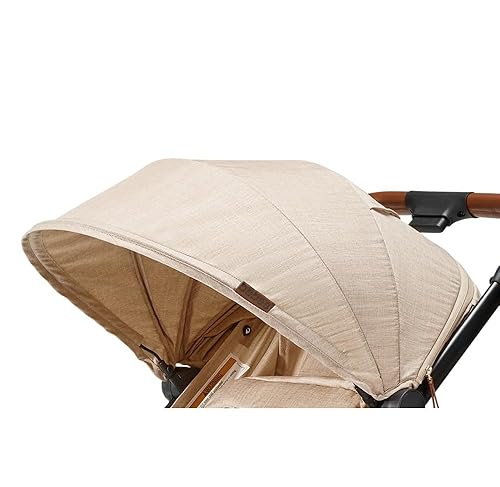 Amazon.com : Bombi Bēbee V2 Lightweight Baby Stroller - Premium