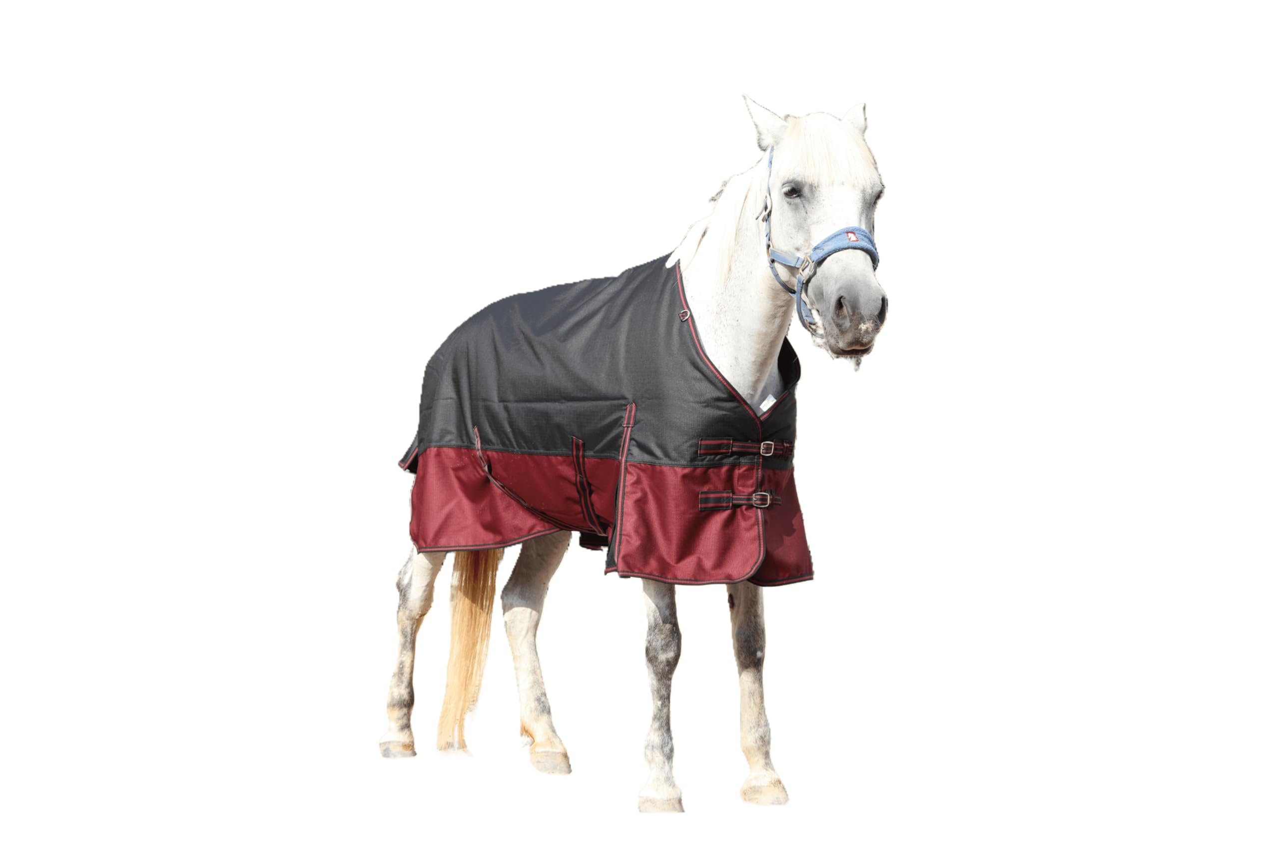 LEAFOREST Manta de caballo resistente 1200D, 200 g/m², acolchada, impermeable, transpirable, para exteriores, fácil de limpiar, para caballos, manta de invierno, color rojo negro, 145 cm
