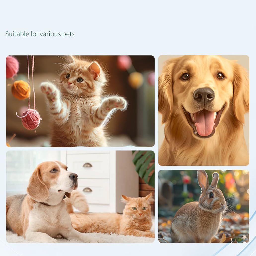Pulsossimetro Veterinario, Pulsossimetro Veterinario Portatile con Schermo da 2,4 Pollici, per Il Monitoraggio di SpO2, Frequenza Cardiaca E Temperatura, Sonda Auricolare/linguale, per Gatti