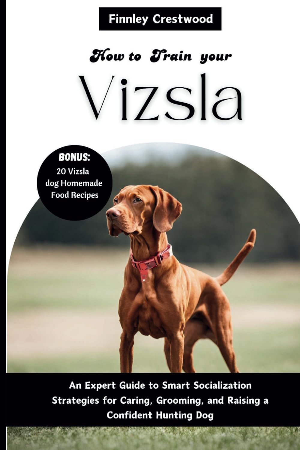 How to Train Your Vizsla: An Expert Guide to Smart Socialization Strategies for Caring, Grooming, and Raising a Confident Hunting Dog