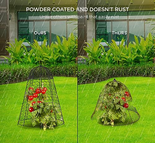 boldworks Garden Cloches for Plants Chicken Wire Cages to Protect from Animals Outdoor Extra Large Rustproof Thicker and Finer Mesh 12" x 20" Pack of 6