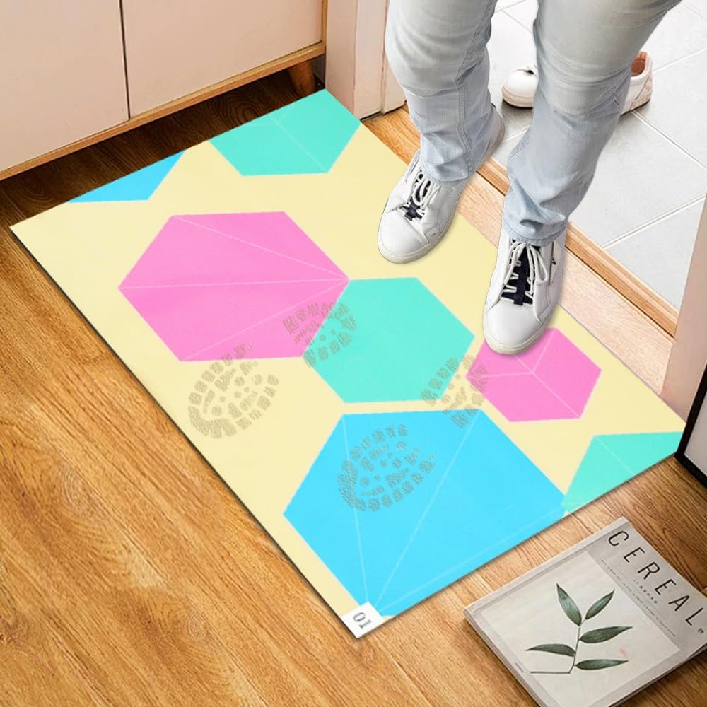 Anti-Dust Floor Mat,60 Layers Adhesive Detachable Decontamination Shoe Mat,Removable Wash Free PE Door Mat(40 * 60cm)