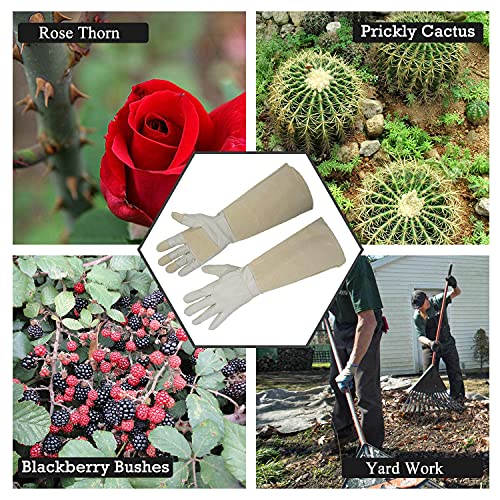Handlandy Bundle - 2 Pairs: Rose Pruning Long Gardening Gloves, Ladies Heavy Duty Yard Work Gloves - Beige, Khaki, Large #TOP3