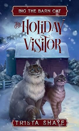 The Holiday Visitor 