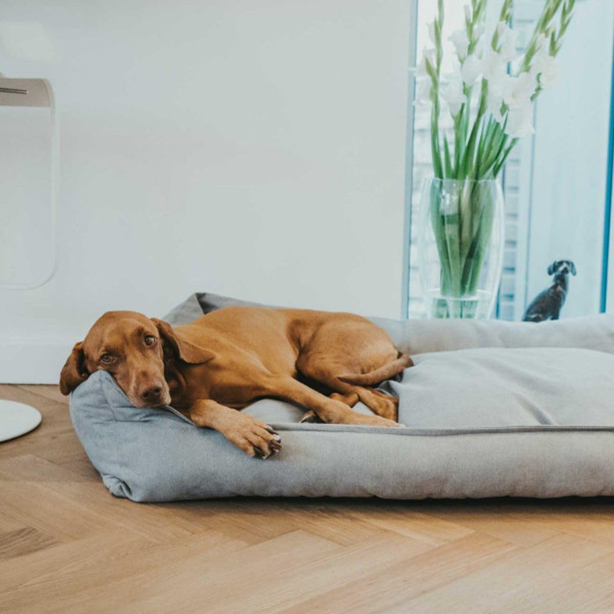 HUNTER EIBY Hundesofa, schmutzabweisend, Easy CLEAN-Technologie, pflegeleicht, M, grau