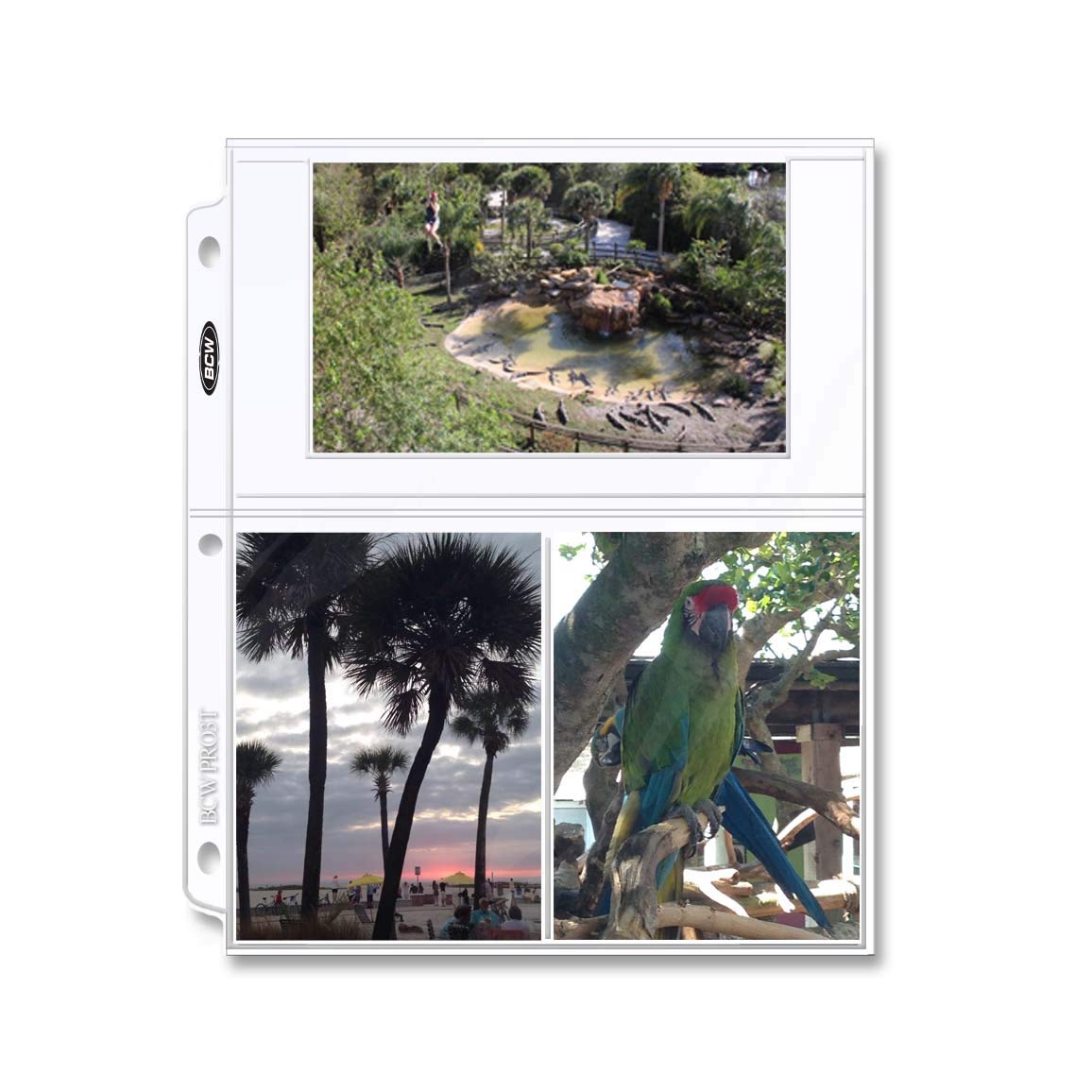 BCW Pro 3-Pocket Page 50 (Fifty Pages) (4 X 6 Cards, Postcards or Photos), Clear | Acid-Free, PVC-Free | Archival Quality, Photo Album Pages protector for 3 Ring Binder | High Clarity Polypropylene