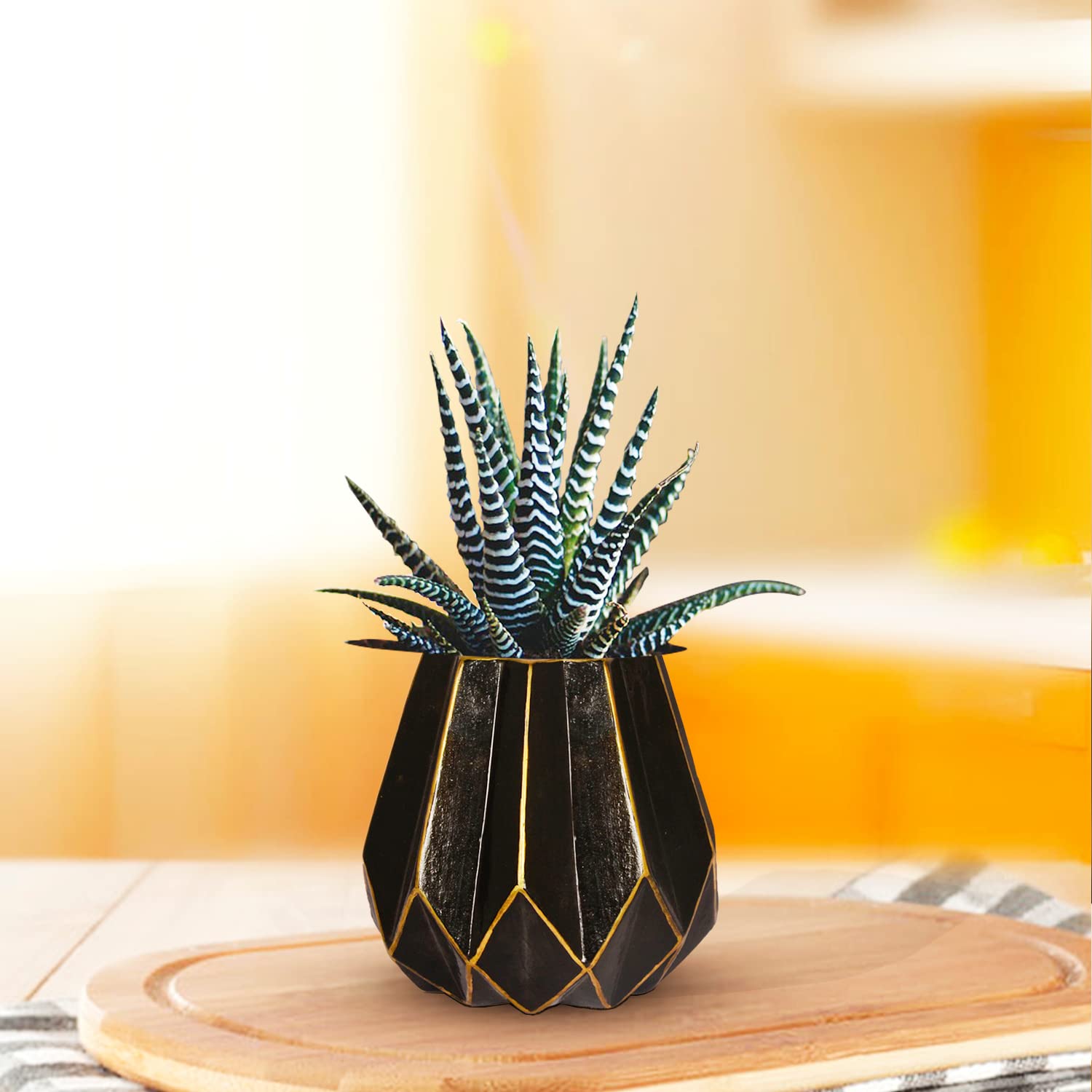 Lasaki Izzy Black Gold Ceramic Pots for Indoor Plants, Planters, Flower, Pots, gamla, Outdoor, Balcony, Home, Garden, Office Decor, Succulent Pot(H - 15 X D - 9 cm)(Plants not Included) (B0BCFMT77W) Amazon Price History, Amazon Price Tracker