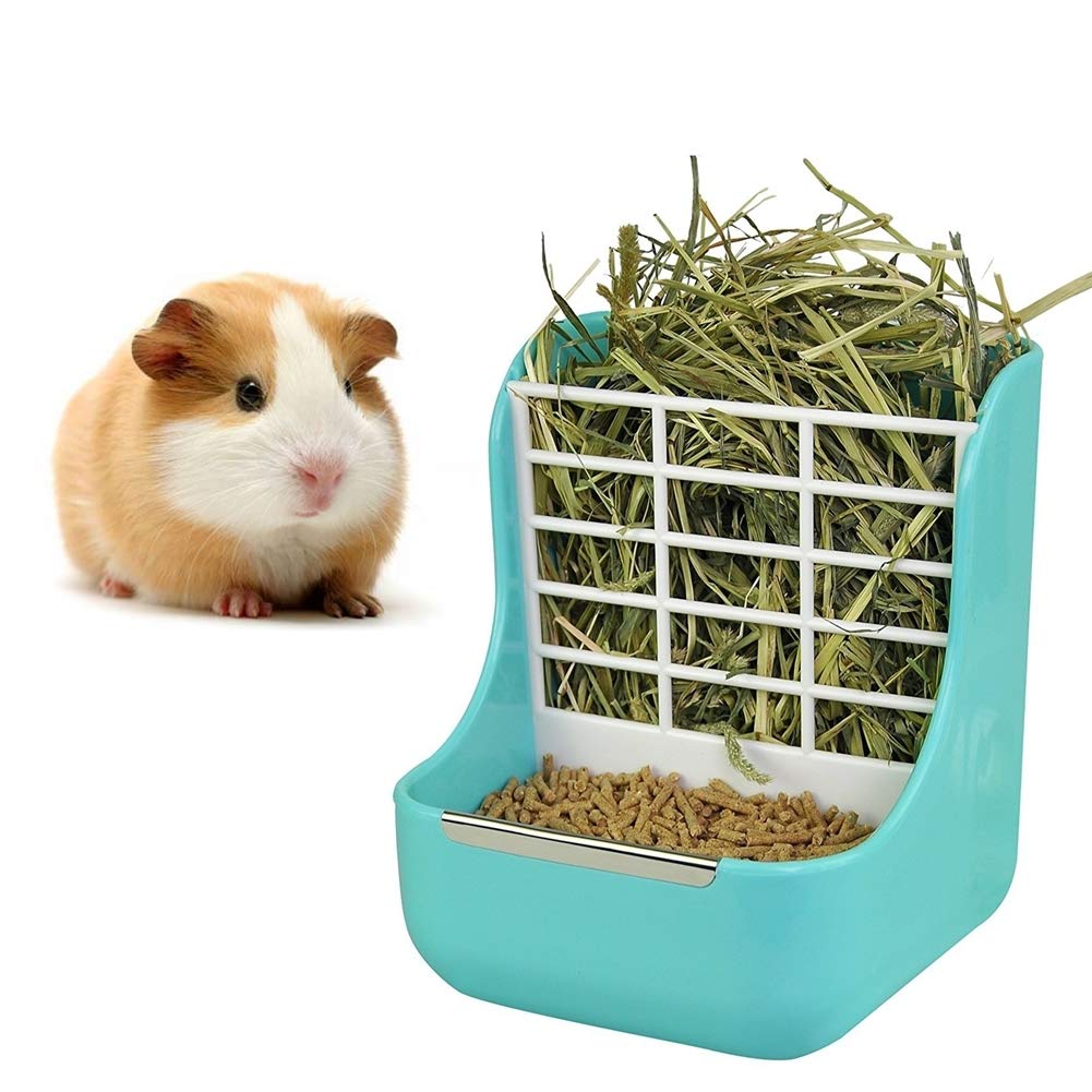 guinea pig rabbit