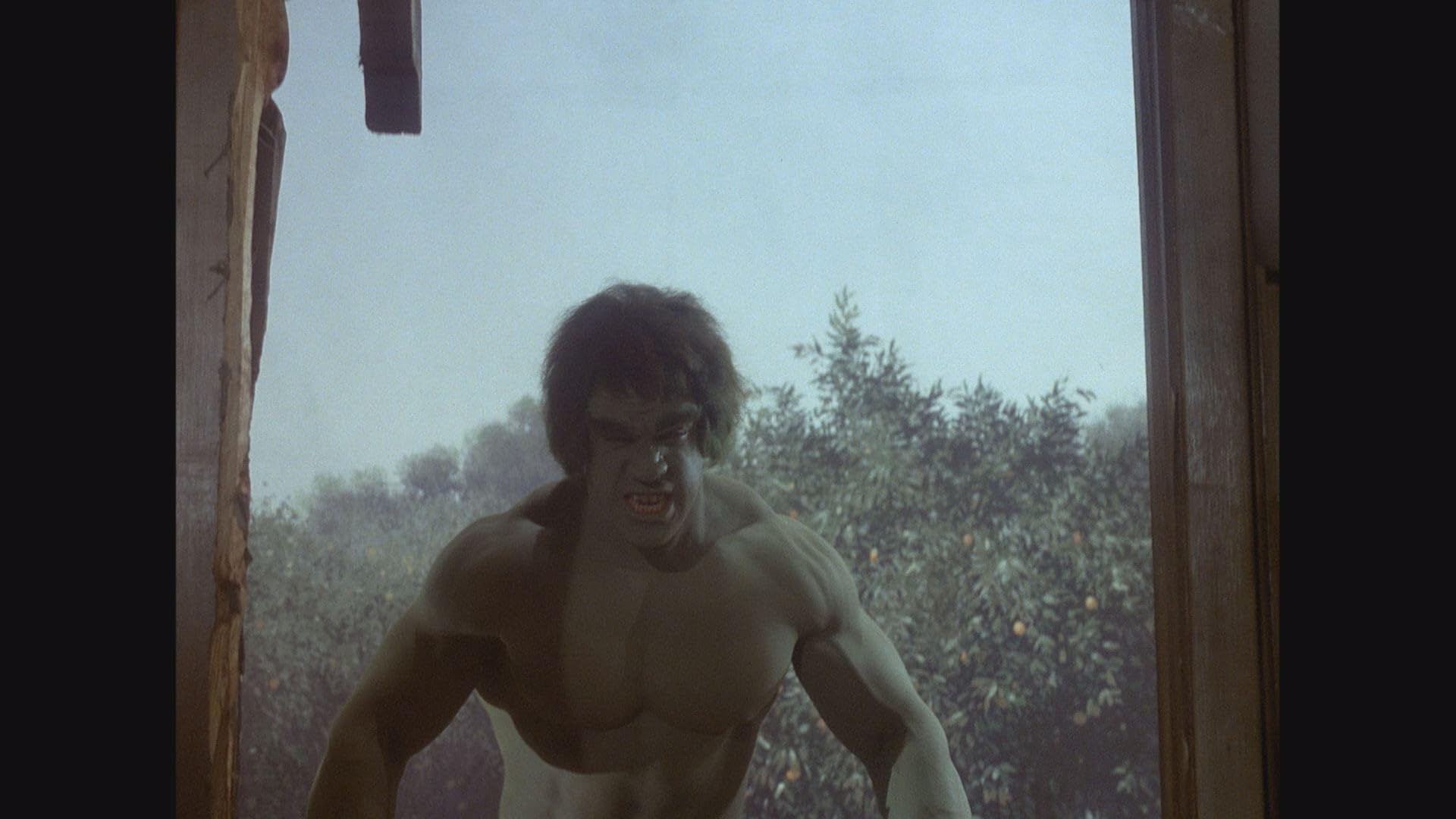 [Elephant Films] Edition officielle française - L'Incroyable Hulk - L'intégrale de la série - Edition spéciale - Coffret 23 DVD