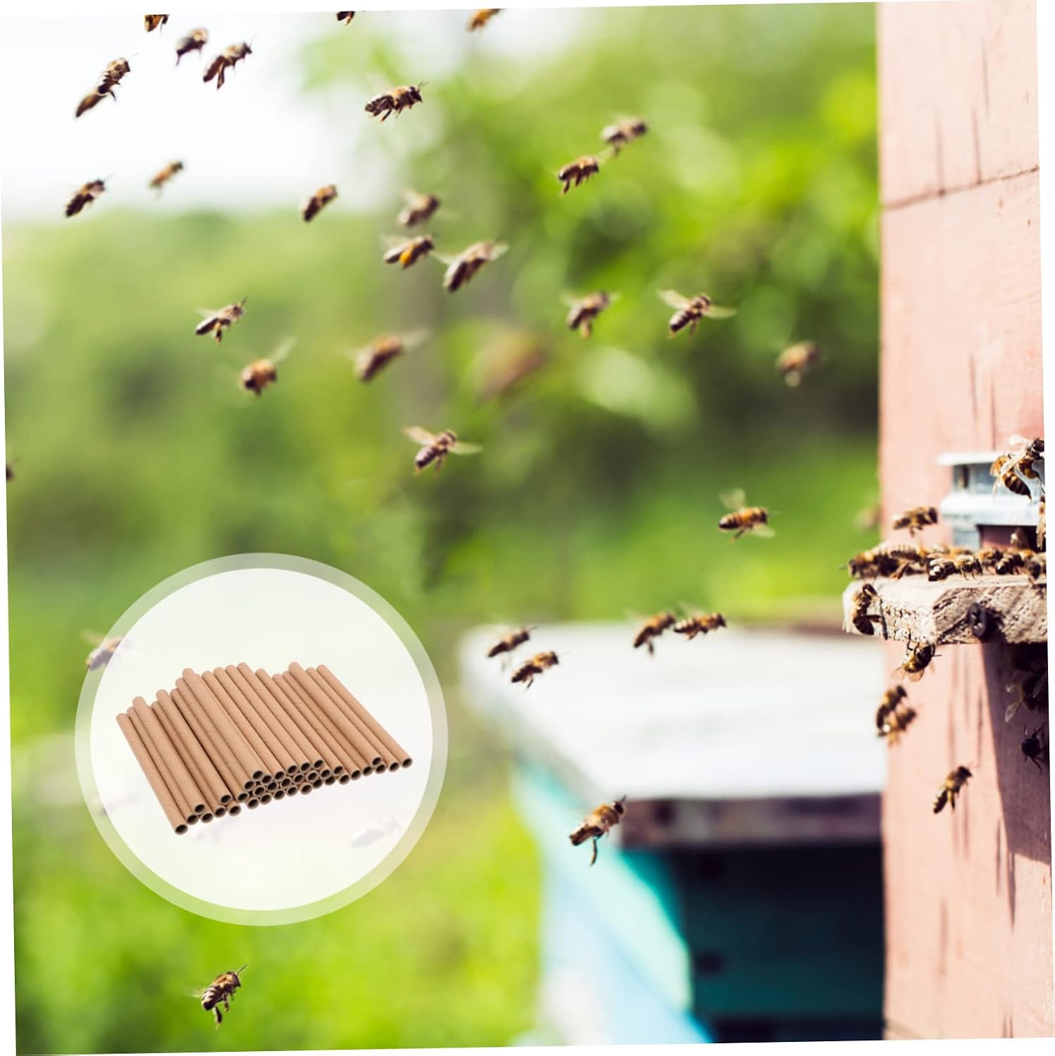 BESTonZON 200PCS Craft Paper Tubes for Beekeeping DIY Honeycomb Filling Material Nesting Tubes for Bees House Making
