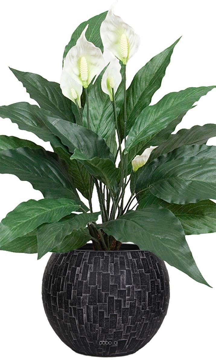 Amazon.de: Artificielles Knstliches Einblatt (Spathiphyllum) in Topf, Hhe  50 cm, 20 Bltter und 5 Blten
