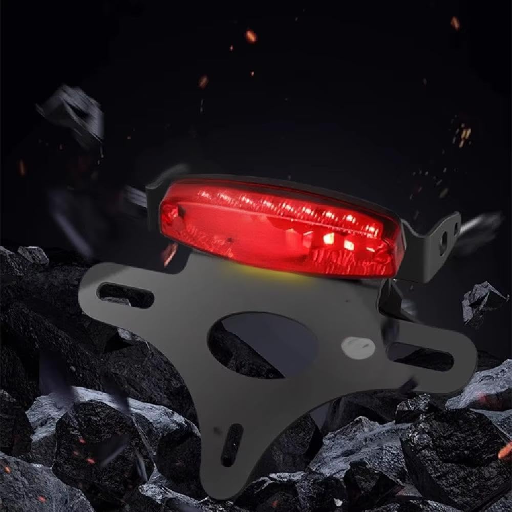 ZHUOWU 790 Duke Support Plaque Moto Court avec Éclairage LED pour 790Duke 2018-2024 890 Duke R 2020-2023 890Duke GP 2022