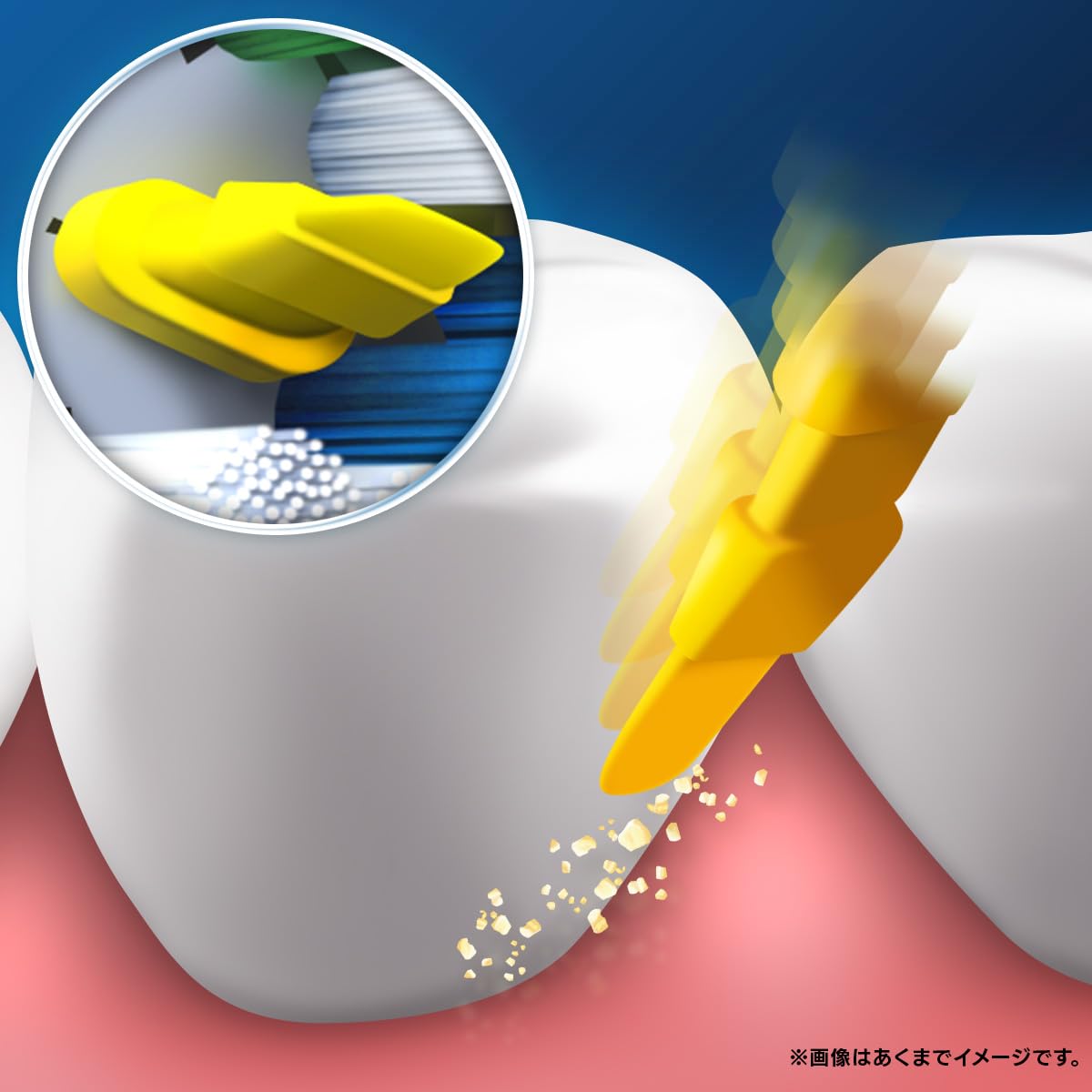 Amazon.co.jp: ORAL B ブラウン オーラルB 電動歯ブラシ 替ブラシ