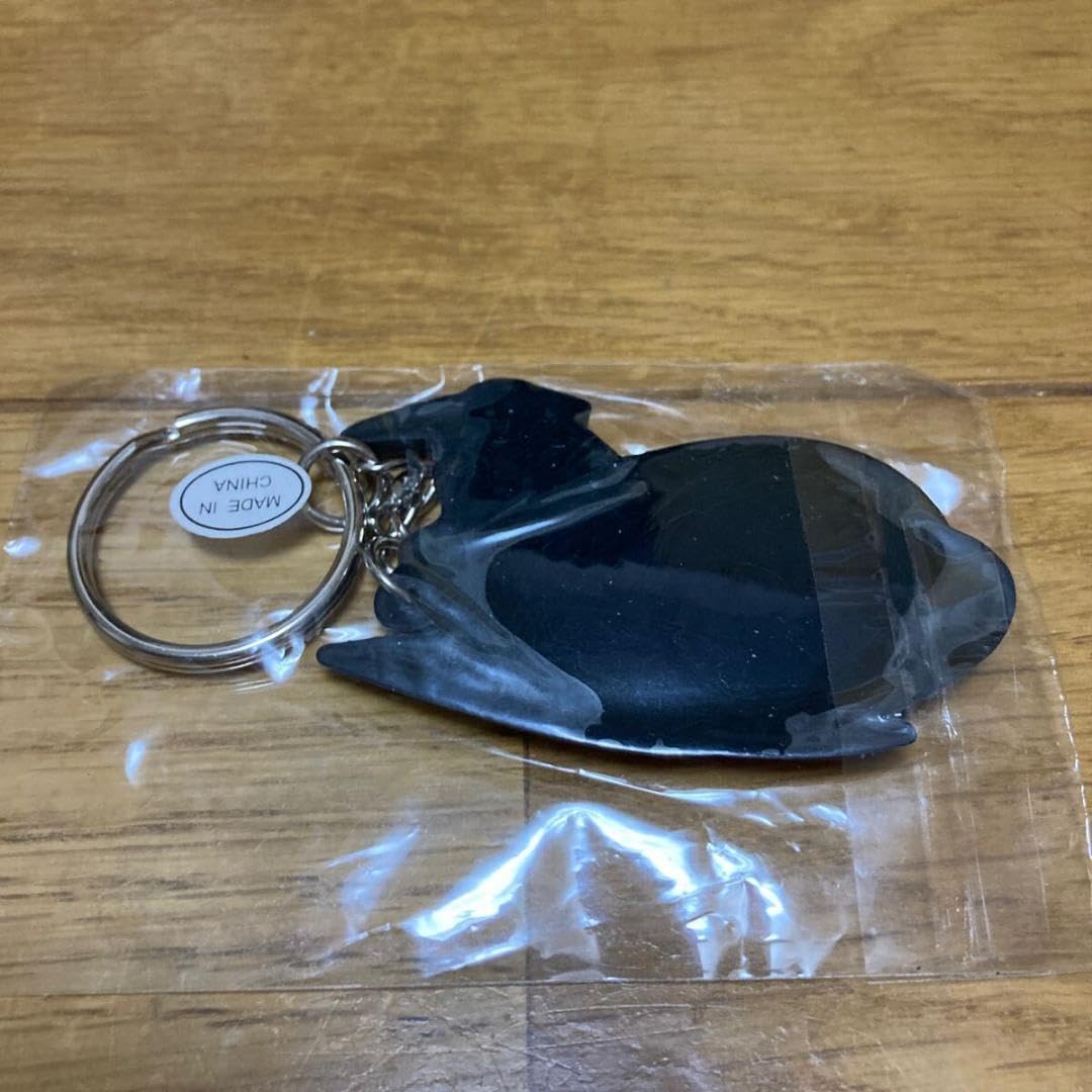 ハワイアン航空 キ-ホルダー Amazon.co.jp: [KOOL KREW] ハワイアン航空 Hawaiian Airlines