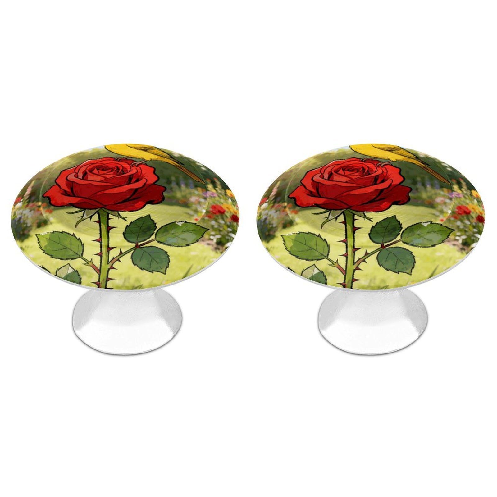 DWVTSLH Yellow Bird on Roses Cabinet Handles 2 Pack Stainless Steel Kitchen Drawer Pulls with Installation Screws Round Dresser Drawer Knobs 1.1 Inch Modern Cabinet Hardware Door Handles