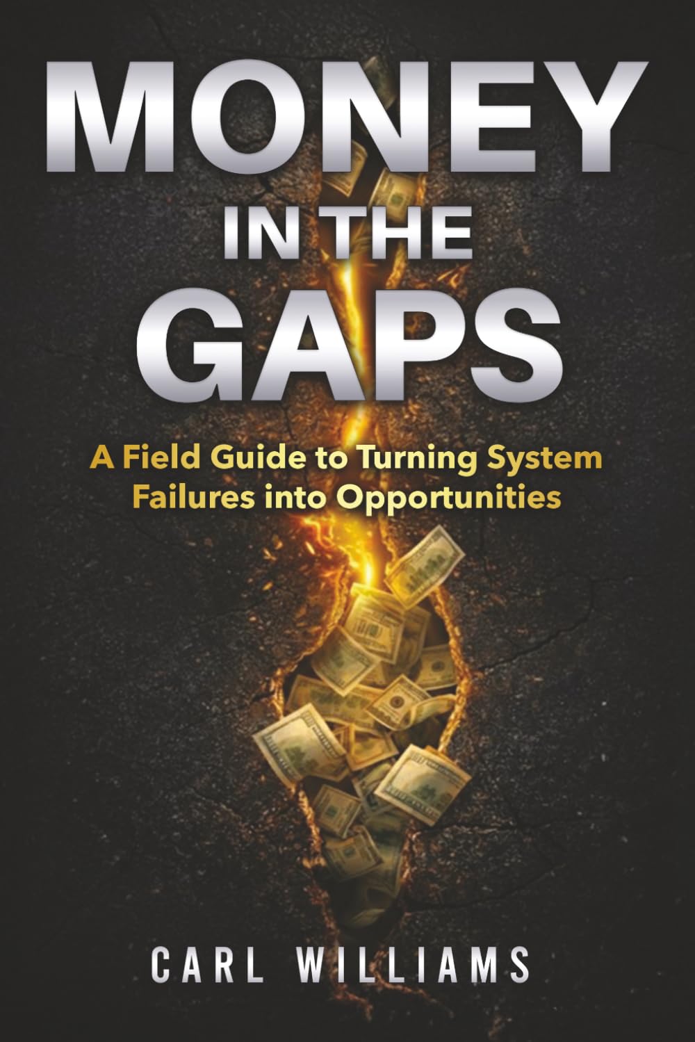 Money In The Gaps: A Field Guide to Turning System Failures into opportunities