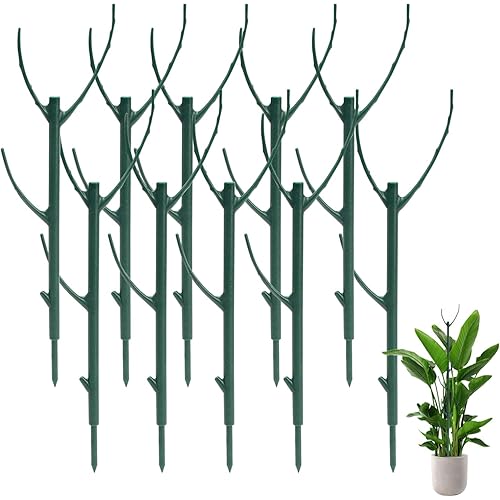 Decorative Stackable Twig, Stackable Twig, 10 Pack Plant Support Frame & Plant Cage Support Rings for Sphagnum, Twig Trellis for Indoor Outdoor Plants Potted Plants Flower Other Climbing Plants