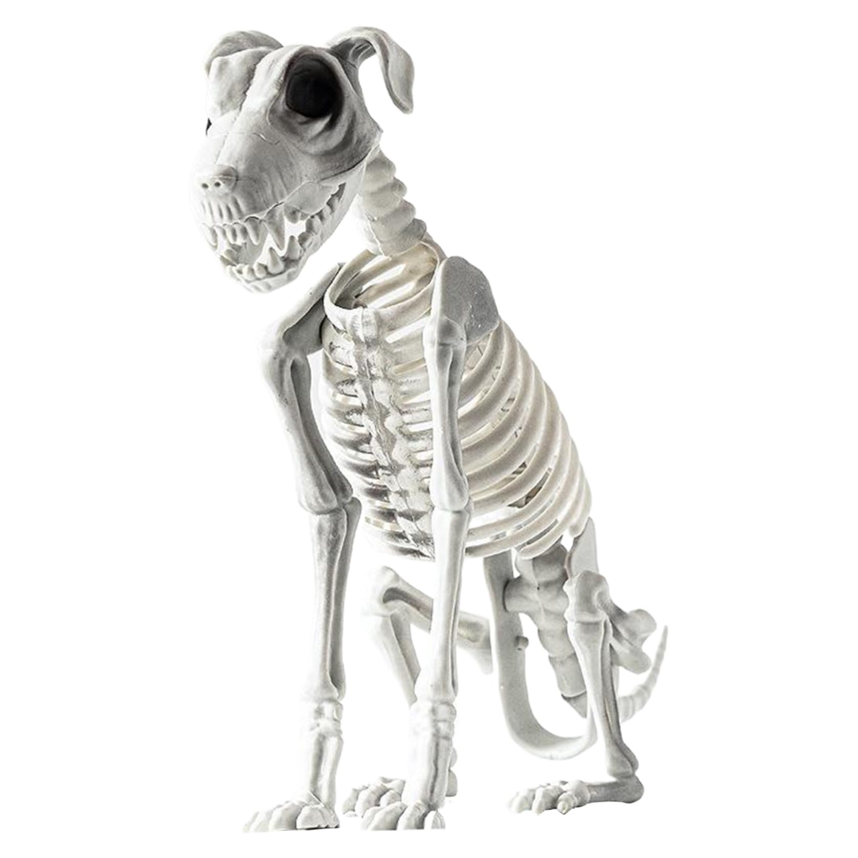Hbbgdiy Skeleton Dog Halloween Scary Sitting Dog Skeleton 17.3x12.2in with Sharp Teeth Spooky Animal Decor for Home Party Haunted House Indoor Outdoor Display