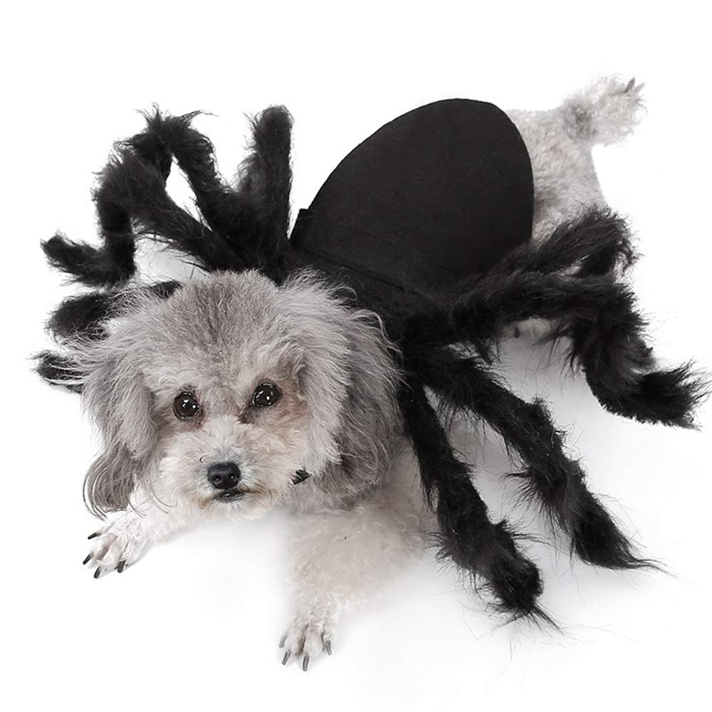 Amazon | LAMZIK 犬用 コスチューム ハロウィン くも 犬服 猫 被り物