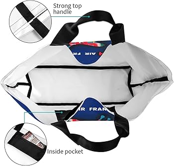 エールフランスグッズのバッグ Amazon.co.jp: エコバッグ レイモン・サヴィニャック エール・フランス