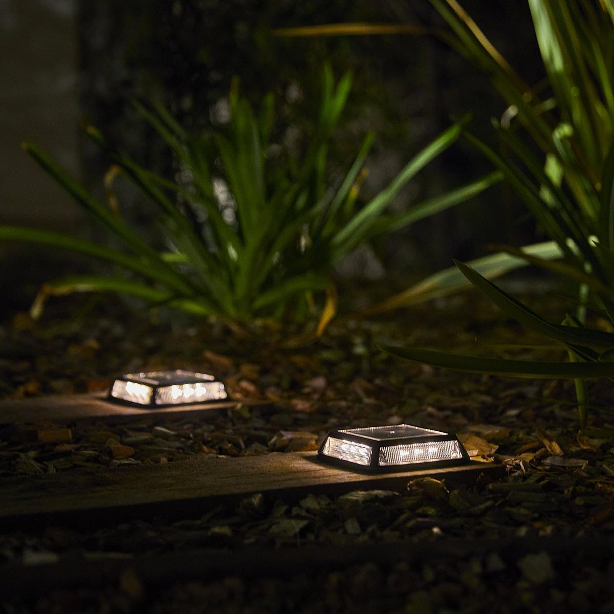 Two Lumisky QUADRY solar lights illuminating a garden path with warm white light amidst foliage at night.