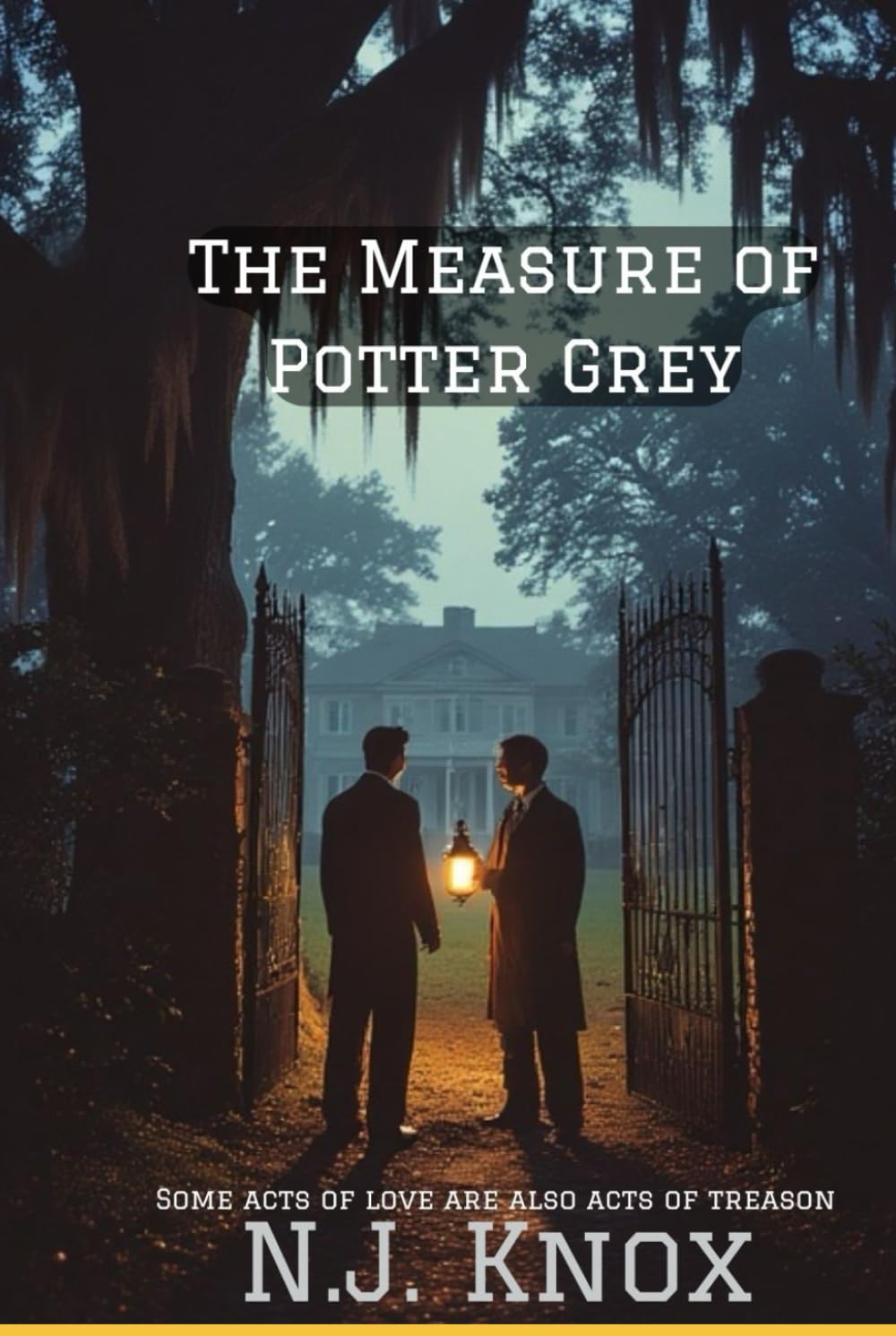 The Measure of Potter Grey (Whispers Through Time)