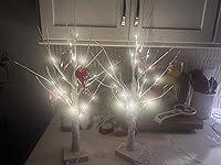 Review Image by Interesting