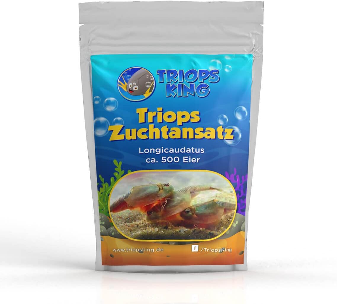 Triops King Longicaudatus breeding set 500 eggs