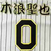 61-AzS-1EHL._AC_SY200_QL15_.jpg