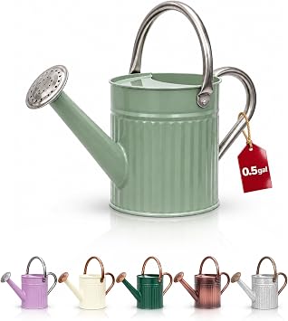 Bamworld Metal Watering Can for Indoor Outdoor Plant 1/2 Gallon Green