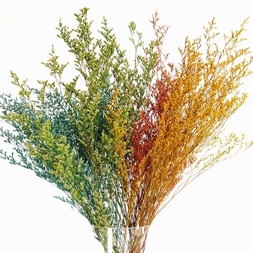 Flores secas Lover's Grass para decoración 50cm miniatura 3