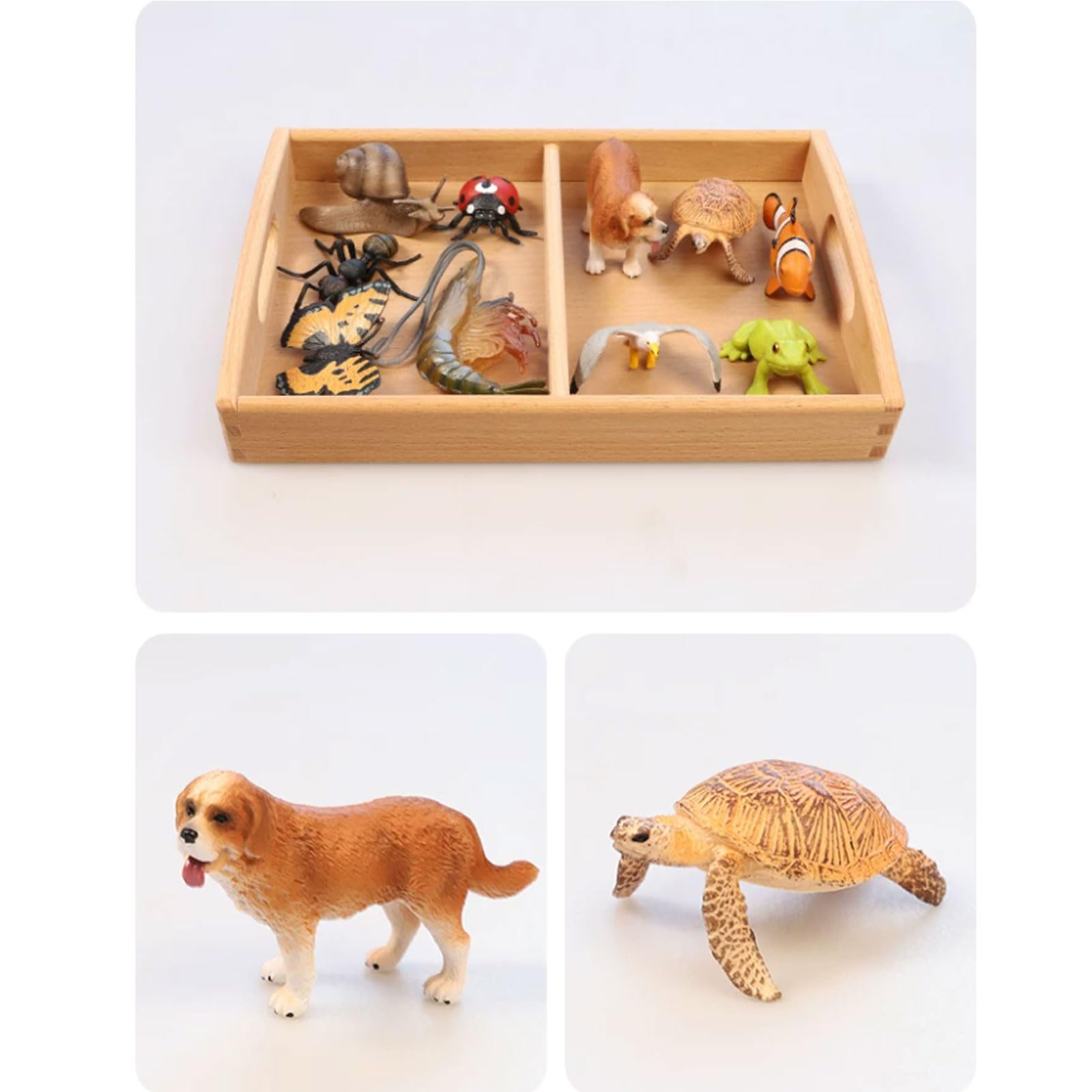 Zestaw Montessori Zoologii Klasyfikacji Zwierząt