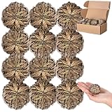 Nuanchu 12 Pack Rose of Jericho Resurrection Plant Dried Jericho Rose Selaginella Resurrection Grass Natural Fern Prayer Plant for Spiritual Purification Home Decor(Small Size)