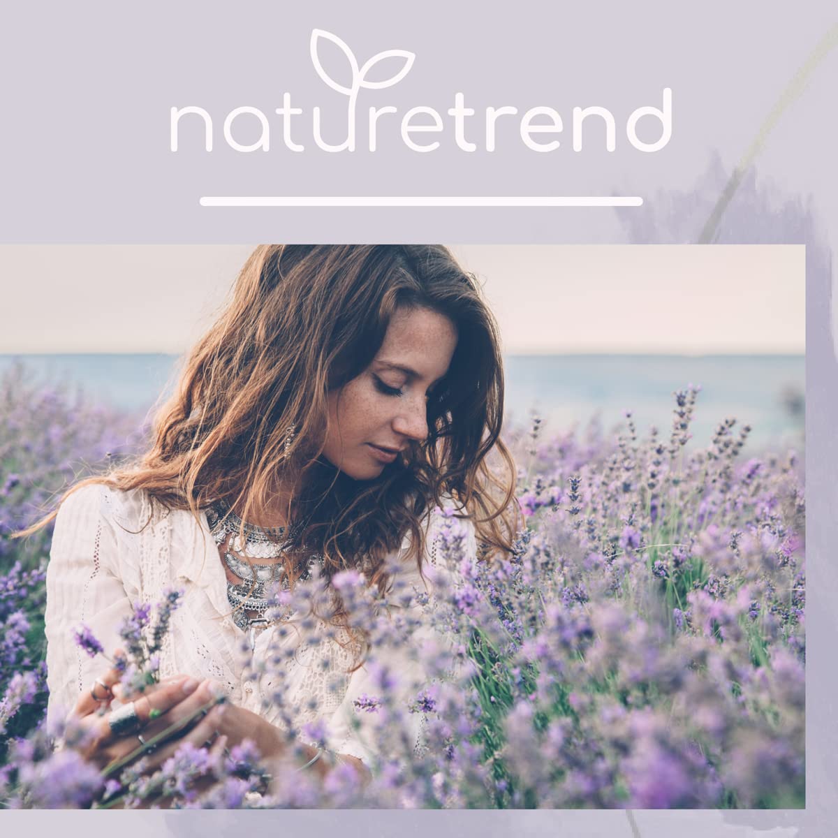 naturetrend Fiori di lavanda essiccati, 1 kg – lavanda francese della Provenza, nuovo raccolto, profumo intenso e bluastro, per cuscini profumati, profumo potpourri