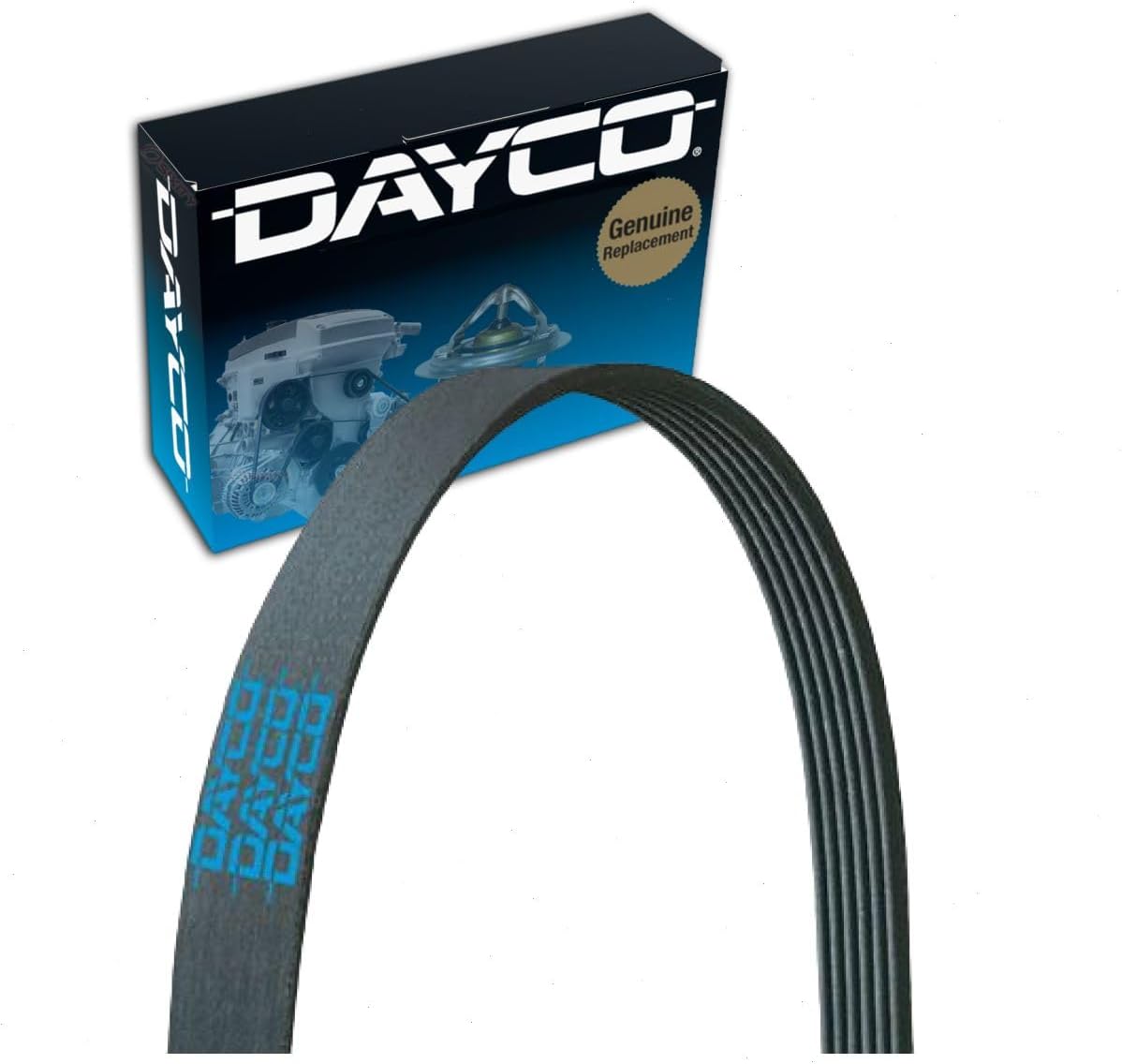 Dayco Main Drive Serpentine Belt compatible with Honda Accord 3.5L V6 2015-2017