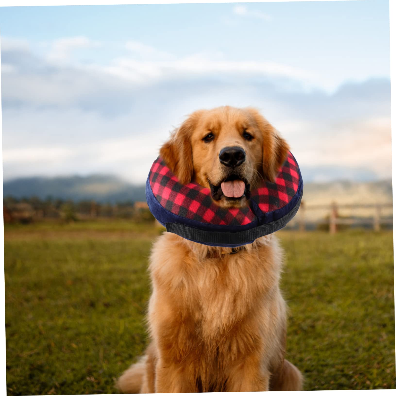 Beaupretty 4piezas Collar Inflable Protector para Perros y Gatos Collar De para Mascotas Protección Postoperatoria y Prevención De Lamedura Mediano Diseño Ergonómico y Lavable